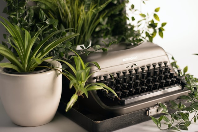Schreibmaschine neben Pflanzen